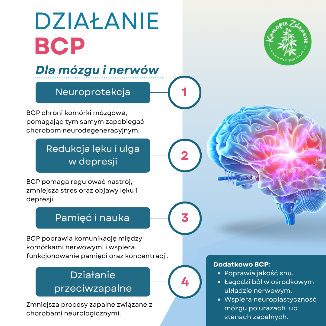 BCPmozek - PL